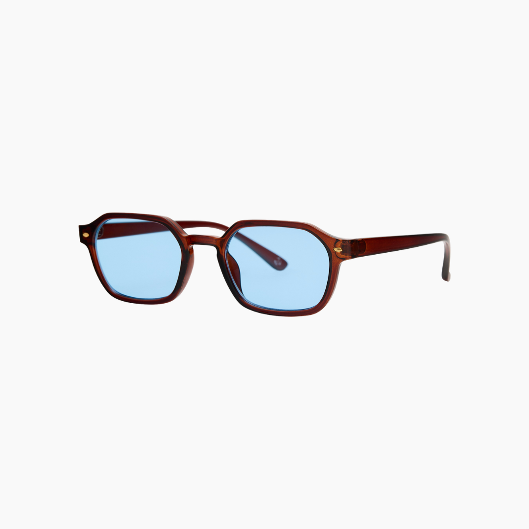 Vizo 2.0 Zonnebril - Blue/Brown